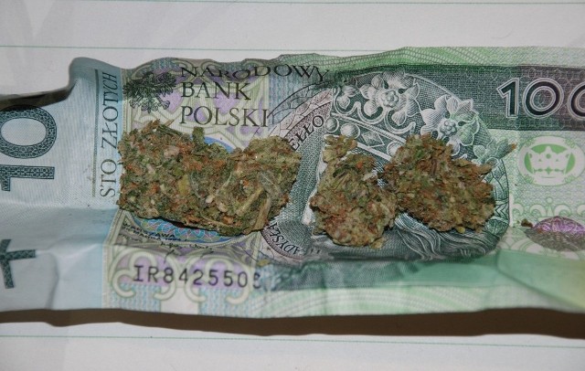 Marihuana zawinięta była w banknocie