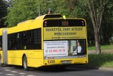 Kobiety za kółkiem miejskich autobusów. W PKM Katowice jest ich coraz więcej. Jakie są zalety tego typu pracy według przedsiębiorstwa?