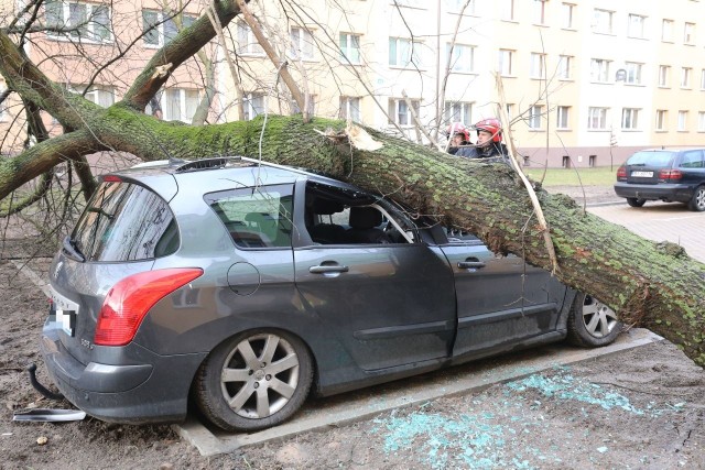 Drzewo runęło na samochód zaparkowany na ul. Sobieskiego.