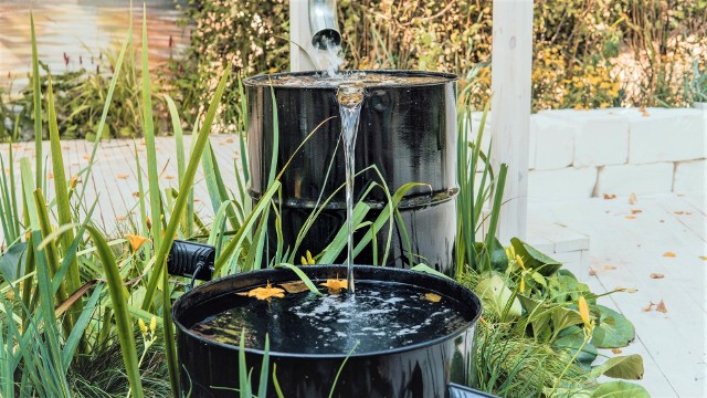 Wodę deszczową warto wykorzystać zarówno w domu, jak i w ogrodzie. Świetnie się sprawdzi m.in. podczas prania, kąpieli psa, mycia samochodu i podlewania roślin.
