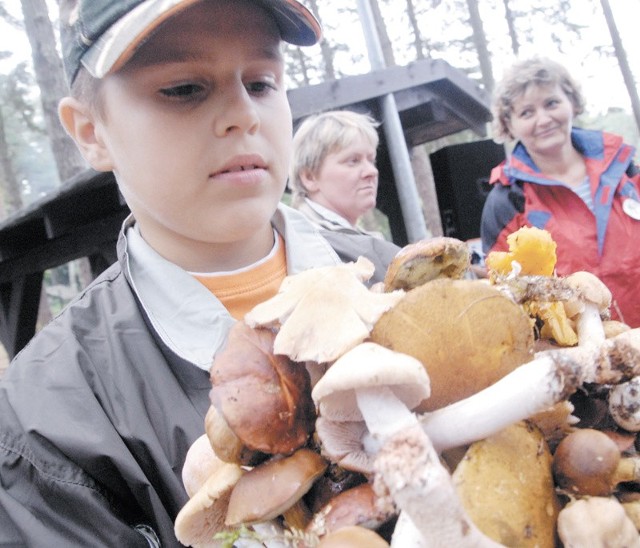 Uczestnicy mistrzostw w zbieranie grzybów w Korzybiu we wrześniu ubiegłego roku. Gmina powinna postarać się, by nie kojarzono jej tylko z grzybami.