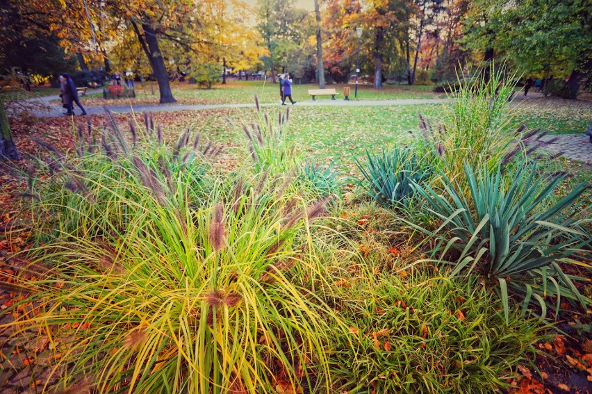 Jesień w gliwickim parku Chopina. Jak tu kolorowo! Koniecznie zobaczcie. To kapitalne miejsce na spacer