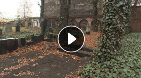Zdewastowany cmentarz żydowski w Katowicach