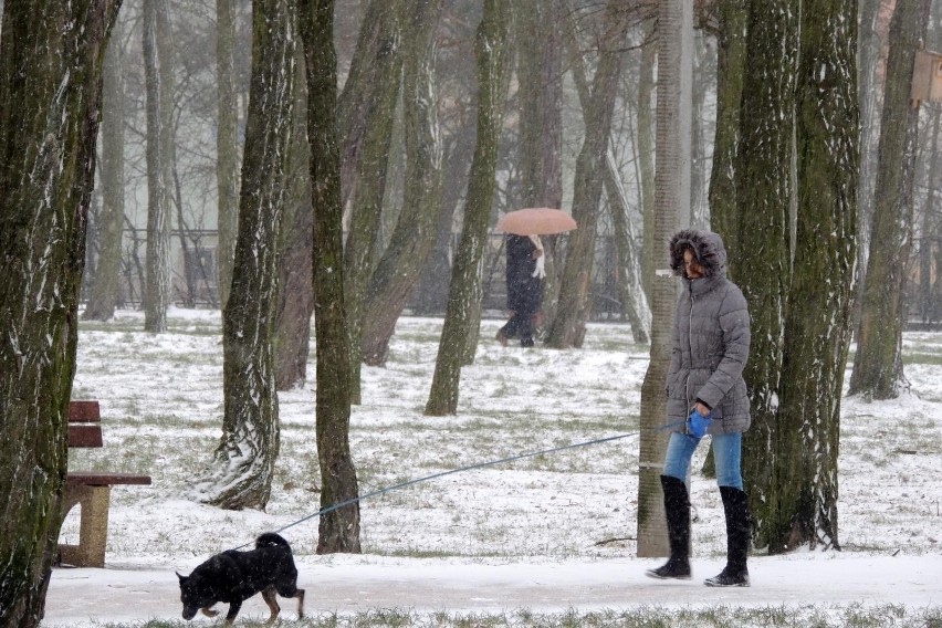 Z Rafałem Maszewskim, meteorologiem i twórcą portalu...