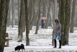 Kiedy spadnie pierwszy śnieg? O pogodzie na listopad mówi meteorolog Rafał Maszewski