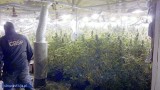 Plantacja marihuany wartej 1,5 mln zł w kurniku koło Kartuz 