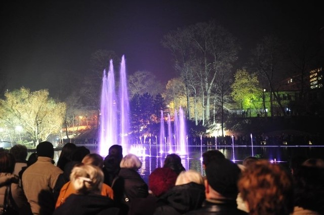 Nocny pokaz fontanny na stawku Barlickiego.