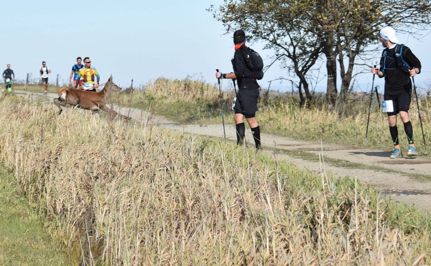 Około 2 tysięcy biegaczy na Łemkowyna Ultra-Trail. Najdłuższa trasa, z Krynicy do Komańczy, liczyła 150 kilometrów [DUŻO ZDJĘĆ]