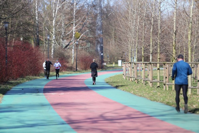 Piękna pogoda a Park Śląski oraz Park Kościuszki świecą pustkami. Nieliczni spacerują i biegająZobacz kolejne zdjęcia. Przesuwaj zdjęcia w prawo - naciśnij strzałkę lub przycisk NASTĘPNE