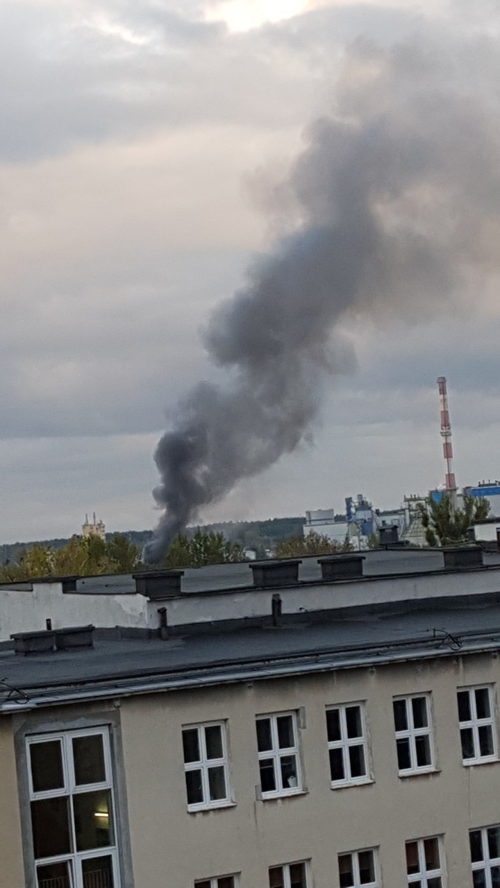 Białystok. Pożar przy ul. Płockiej. Zapalił się skład drewna [ZDJĘCIA]