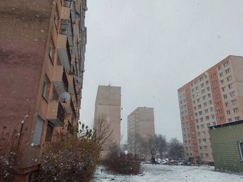 Włamania na Widzewie. Złodzieje zaatakowali dwa mieszkania w wieżowcu przy ul. Sacharowa