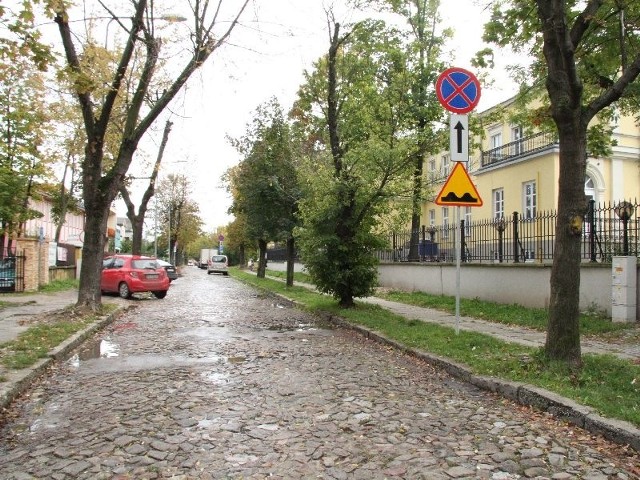 Na ulicy Kopernika w Kielcach przewidzianej do remontu trzeba będzie wyciąć drzewa rosnące  po stronie przychodni. Są chore i kolidują z planowanym parkingiem.