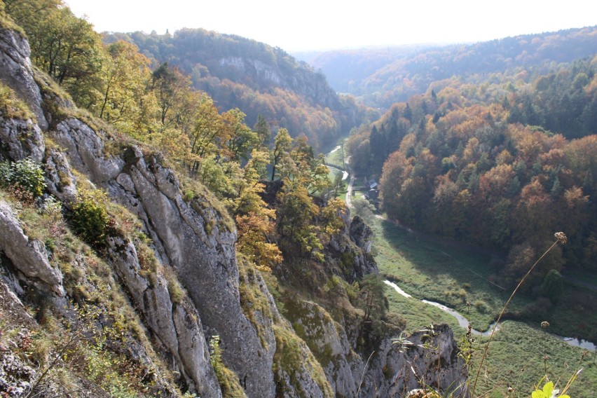 Widok w stronę południową Doliny Prądnika