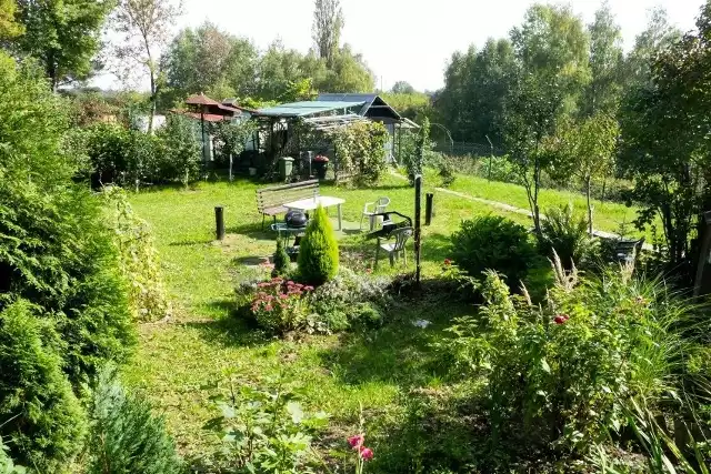 Ogródki działkowe przy ul. Batowickiej w Krakowie