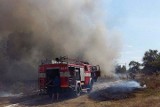 Pańki: Pożar w opuszczonym gospodarstwie. Strażacy uratowali dom (zdjęcia, wideo)