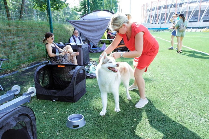 W białostockiej wystawie uczestniczy ponad 2 tys. psów.