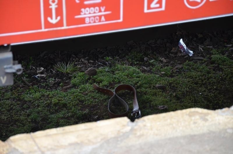 Wypadek na stacji Wrocław Mikołajów. Pieszy wpadł pod pociąg. Kolej: To nie nasza wina