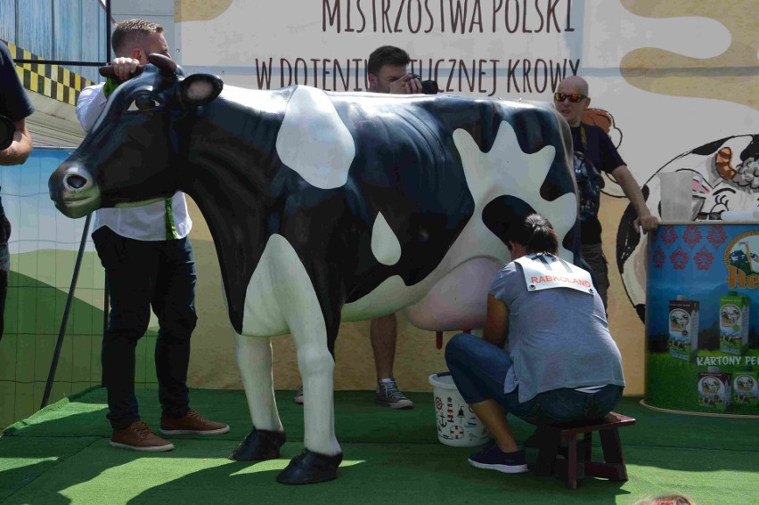 Wyjątkowe zawody w Rabkolandzie. Doili sztuczną krowę [ZDJĘCIA] 