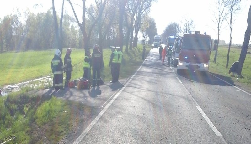 Działania strażaków polegały na zabezpieczeniu miejsca...