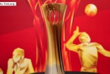 Skradziono trofeum siatkarskich mistrzostw świata w Polsce [WIDEO]