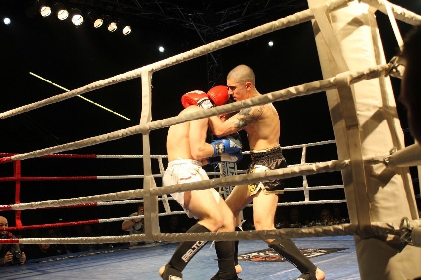 Głogowianie zdominowali Legion Fight Night [Zdjęcia Część 1]