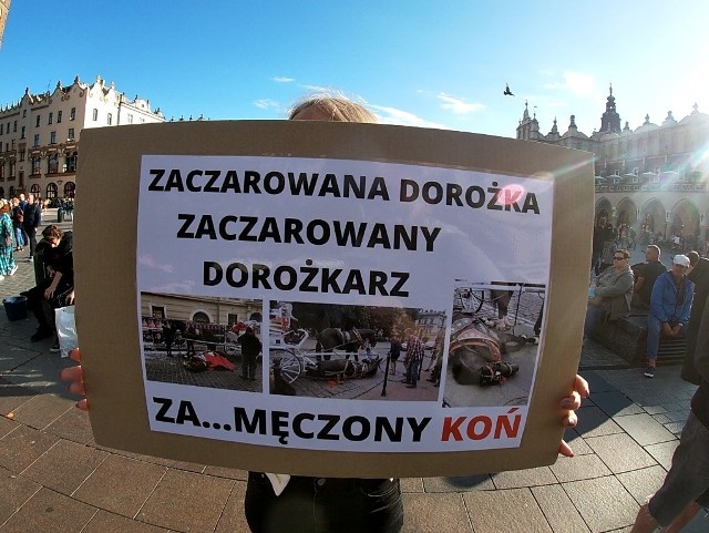 Aktywiści zamierzają cyklicznie powracać z protestami na Rynek, w rejon postoju dorożek