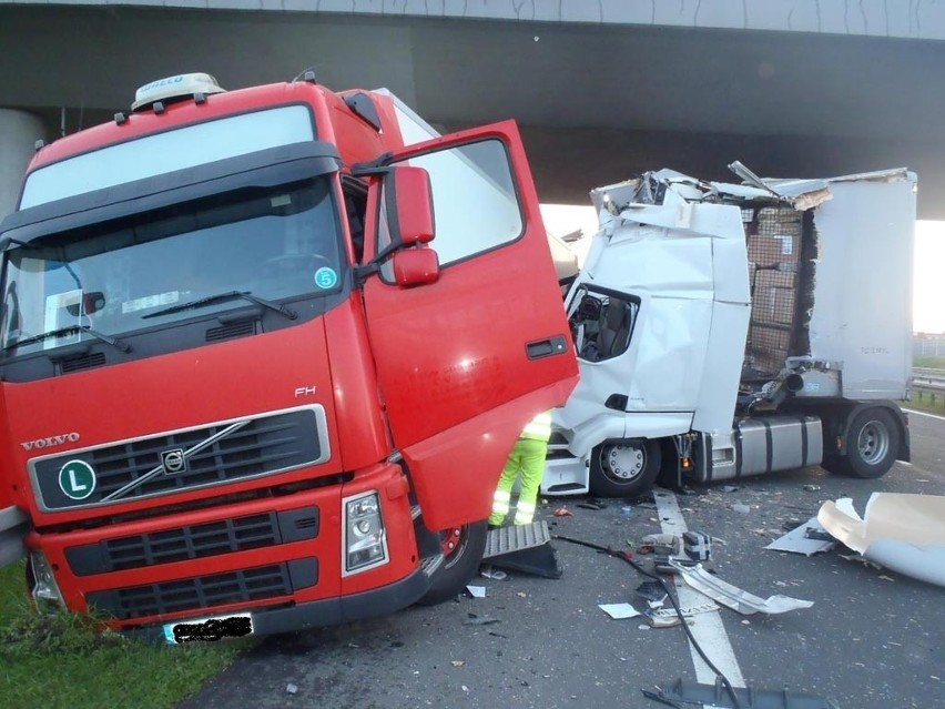 Września: Zderzenie ciężarówek na A2. Są ranni [ZDJĘCIA]