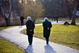 Dolnośląska Fundacja Alzheimerowska zaprasza na badania pamięci. To nic nie kosztuje