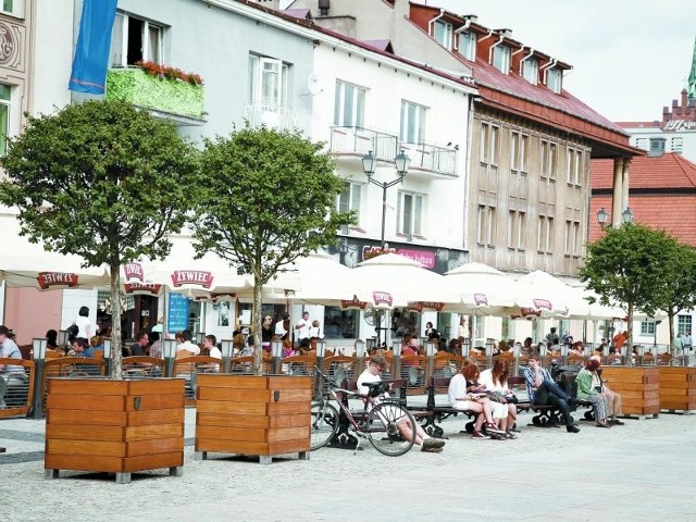 Głogi na miejskim rynku są zielone, ale nie kwitły. W przyszłym roku ma być inaczej. Służby miejskie odpowiednio zadbają o rośliny specjalne sprowadzone z Niemiec.