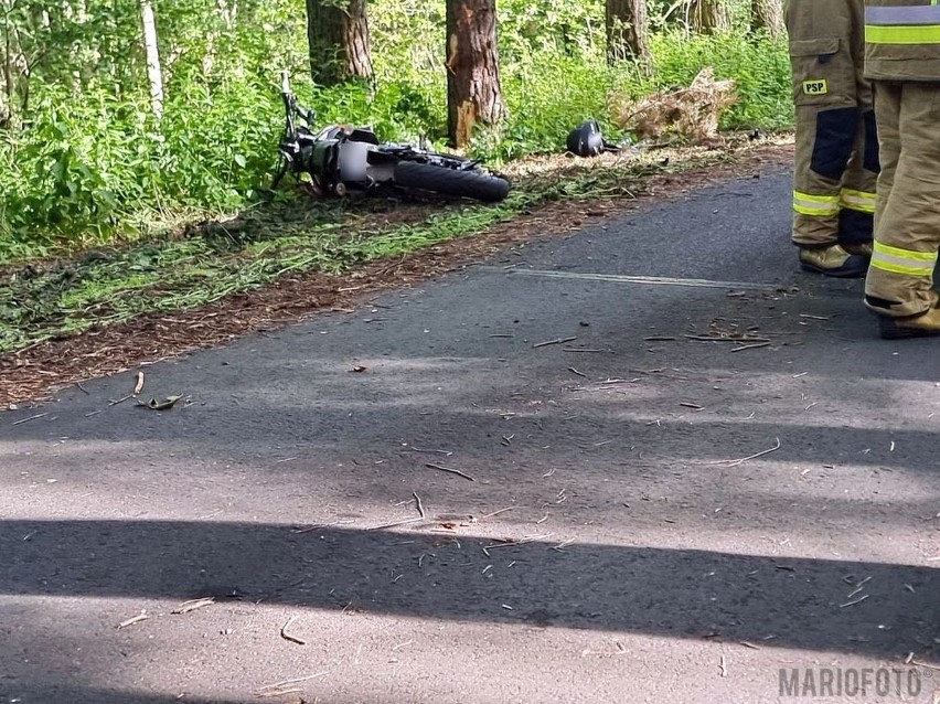Wypadek w Zębowicach. 14-latek jechał skuterem za szybko. Uderzył w drzewo