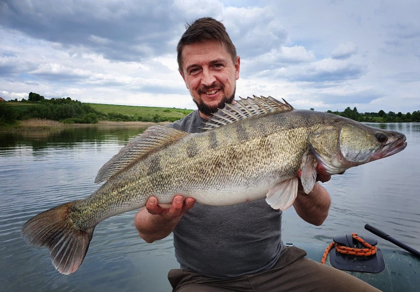 Ruszył sezon sandaczowy. Zobaczcie jakie okazy zyją w świętokrzyskich wodach  (ZDJĘCIA)