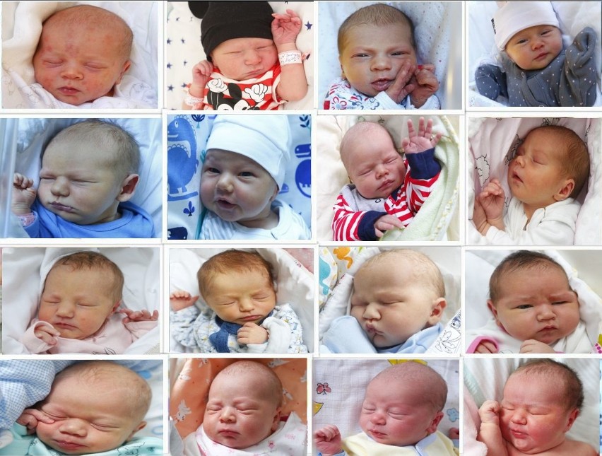 Dziś prezentujemy Państwu kolejne zdjęcia noworodków, które...