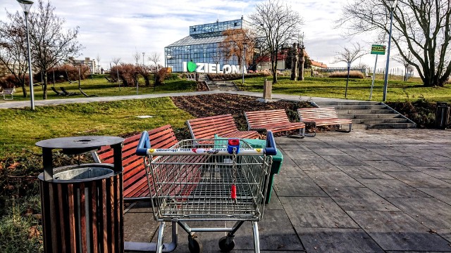 - O "Stowarzyszeniu Wędrujących Wózków" jeszcze nie słyszałem, ale kto wie? - pisze z przymrużeniem oka Pan Maciej. - Wracaliśmy z żoną do domu. Ładna pogoda dzisiaj była, wybraliśmy się na spacer, wzięliśmy udział w WOŚP i przy palmiarni zobaczyliśmy ten okaz. Jak się tu znalazł? Kto aż tak by się trudził, żeby wnieść tutaj ten wózek i tak zostawić? Początkowo myślałem, że to performance, ale gdzie tam. Wokół ani żywego ducha - dodaje nasz Czytelnik.No i rzeczywiście. Zdjęcia, które tu widzicie nie są w żadnym stopniu fotomontażem. To autentyczny widok na Zielonogórskiej Palmiarnię "zza pleców" znajdującego się nieopodal wózka sklepowego. ;) - Widziałam ten wózek około 12.00 przy fontannie na Winnym Wzgórzu. Dwóch chłopców kombinowało, co by z tym wózkiem zrobić, na zasadzie: „ty siadaj, ja cię popchnę”. Przeraziłam się, podeszłam do nich i poprosiłam, by odstawili ten wózek, bo zrobią sobie krzywdę. A później sama go pod tę Palmiarnię przytargałam, pod same drzwi. I postawiłam z boku - relacjonuje nasza Czytelniczka pani Krystyna. - Ale kto w ogóle go tam przyciągnął i po co to zrobił, to nie wiem - mówi kobieta.W Zielonej Górze mamy dwa sklepy Tesco. Największy (Tesco Extra) znajduje się na ulicy Energetyków, zaś mniejszy na ul. Wyszyńskiego. Jeśli wózek pochodziłby z ul. Energetyków, to aby dotrzeć do Palmiarni, musiałby pokonać odległość około 4,4 km. W drugim przypadku wyniosłaby ona ok. 3,3 km... Cóż, pewne jest, że sam wózek się nie przetransportował lub teleportował. Któż zatem mógł mu pomóc? Macie jakieś teorie z tym związane? Czekamy na waszą kreatywność w komentarzach! ;)Podpowiadamy również, że wózek sklepowy może mieć wiele zastosowań. Przypomnijmy historie dwóch mężczyzn, którzy takim właśnie środkiem transportu wybrali się na Woodstock w 2015 oku:źródło: TVNZobacz również:[polecane]19637507, 19630525, 1;1[/polecane]