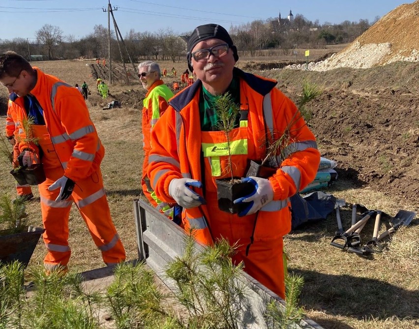 Pracownicy Cementowni Małogoszcz posadzili 900 drzew. To...