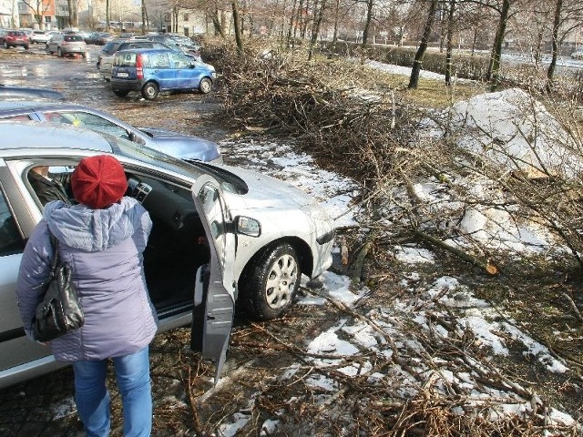 Drzewa wycięto od strony alei IX Wieków Kielc