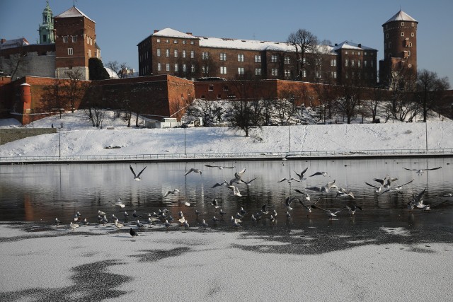 Tak wyglądał Kraków w mroźny poniedziałek