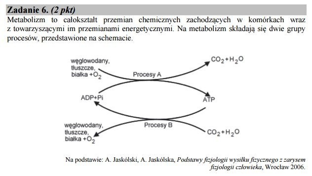 Stara matura 2016: Biologia rozszerzona [ODPOWIEDZI, ARKUSZ CKE]