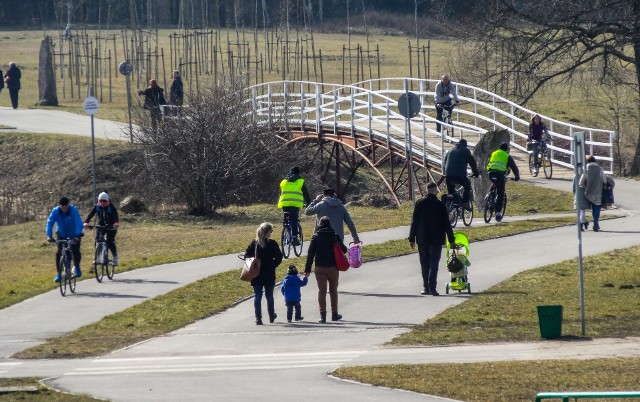 O sporządzenie miejscowego planu zagospodarowania przestrzennego dla Myślęcinka wnioskował LPKiW, który twierdził, że brak tego dokumentu uniemożliwia rozbudowę parku.