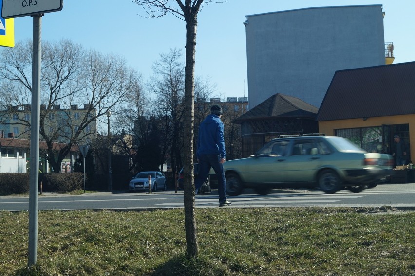 Chrzanów, Olkusz. Zebra dla kierowcy nic nie znaczy? [ZDJĘCIA, WIDEO]