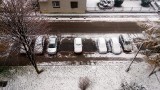 Dąbrowa Górnicza: śnieg na ulicach i chodnikach. Gdzie dzwonić po pomoc, kiedy nikt nie odśnieża [WAŻNE TELEFONY]
