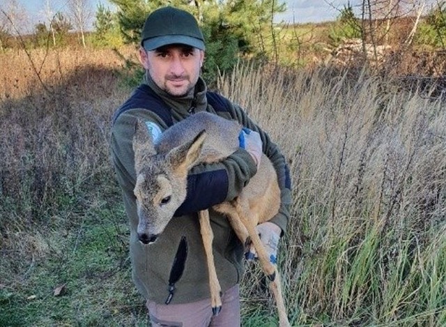 Marcin Szymczak, który w 2018 roku odstrzelił dzika w Puszczykowie, został prawomocnie uniewinniony. Sąd uznał, że nie doszło do bezprawnego zabicia zwierzęcia.