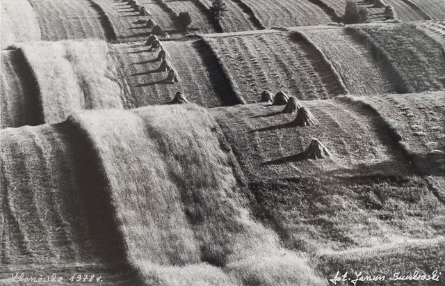 Fotografia autorstwa Janusza Buczkowskiego. Klonówka w 1978 roku.