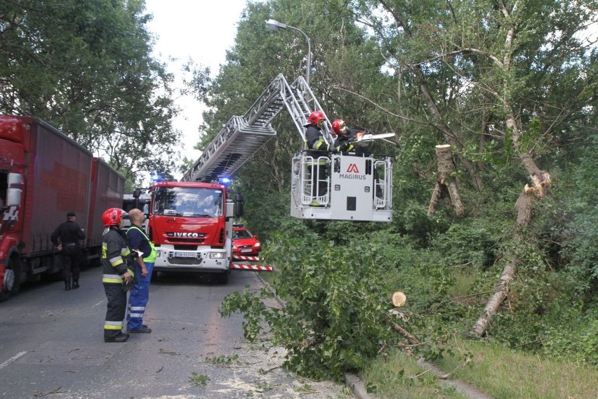 Przewrócone drzewo zablokowało ul. Opolską 