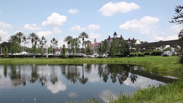 Aligator zaatakował dziecko w Disneylandzie. Ciało dwulatka odnalezione