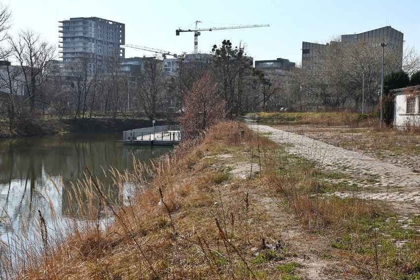 We Wrocławiu powstanie miejska marina? Jest taka szansa