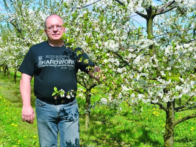 Jarosław Kusznieruk z Folwarków Tylwickich uważa, że krótkotrwały przymrozek  nie wyrządził dużych strat w jego sadzie