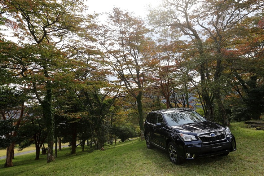 Subaru Forester, Fot: Subaru