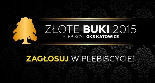 Rozpoczęło się głosowanie na "Złote Buki 2015"