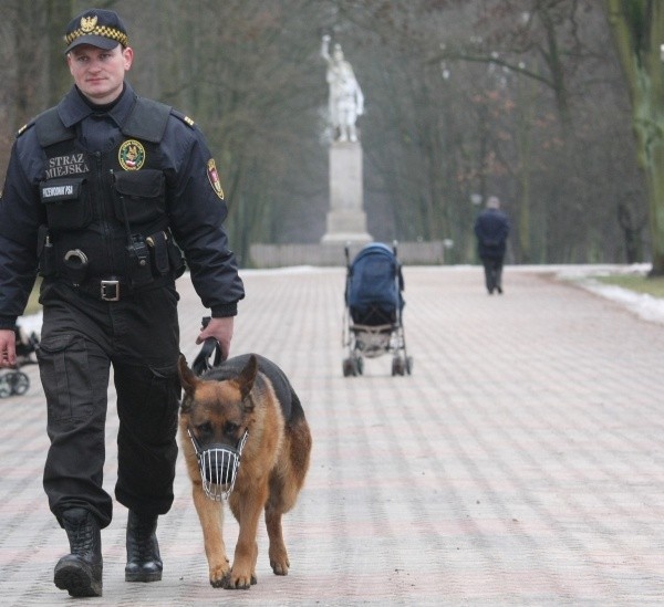 Straż miejska prowadzi akcję "Bezpieczne Centrum".