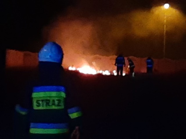 W piątek wieczorem strażacy ochotnicy gasili pożar nieużytków przy ulicy Górnej w Wierzbicy.
